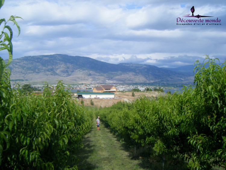 okanagan valley