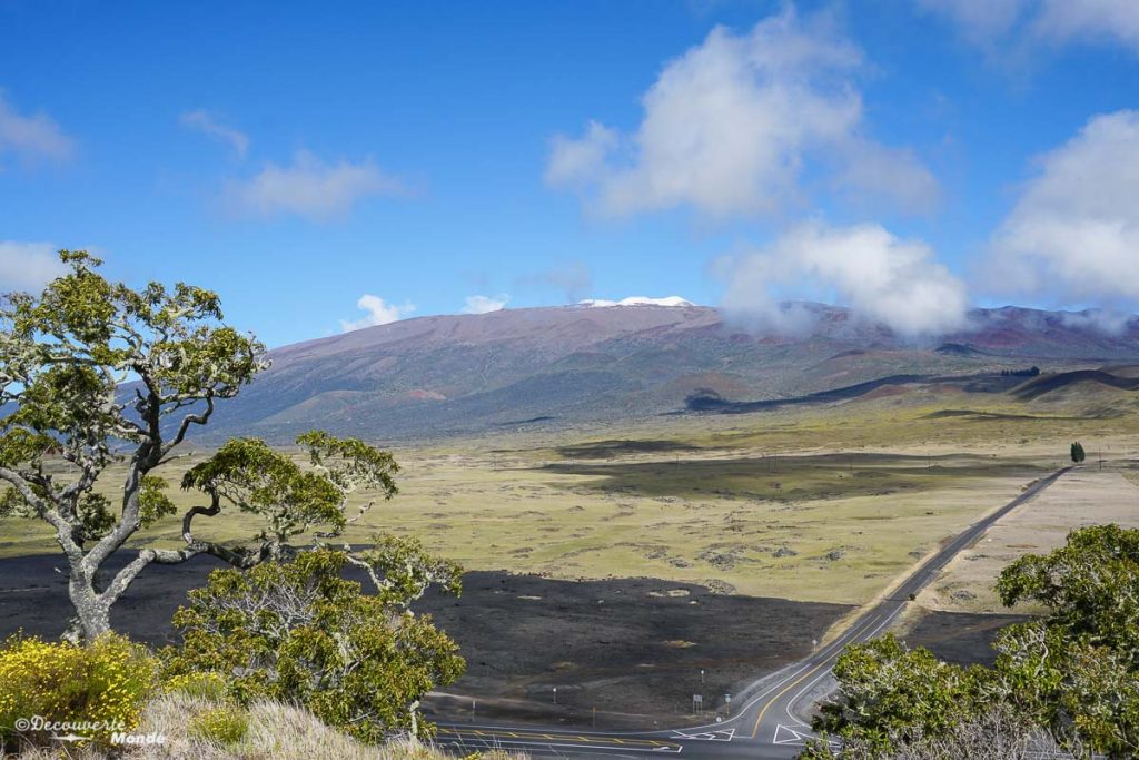 Big Island : Mon voyage de 10 jours sur la plus grande des îles d'Hawaii. Ici au sommet du Pu'u Huluhulu. Retrouvez l'article ici: https://www.decouvertemonde.com/big-island-voyage-iles-hawaii