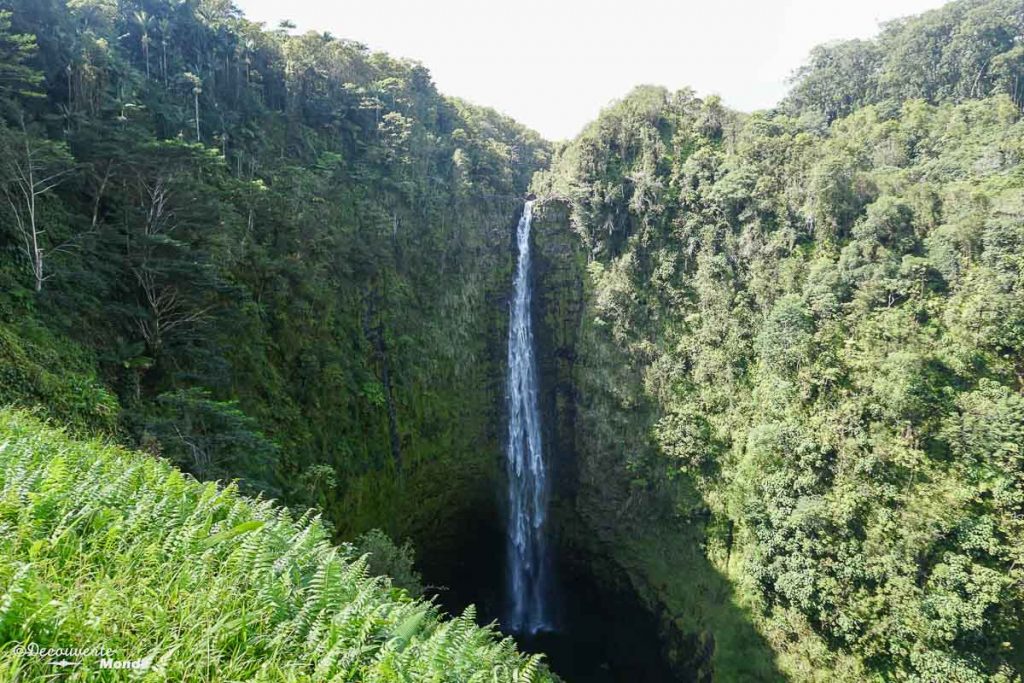 Big Island : Mon voyage de 10 jours sur la plus grande des îles d'Hawaii. Ici vue sur la chute Akaka. Retrouvez l'article ici: https://www.decouvertemonde.com/big-island-voyage-iles-hawaii