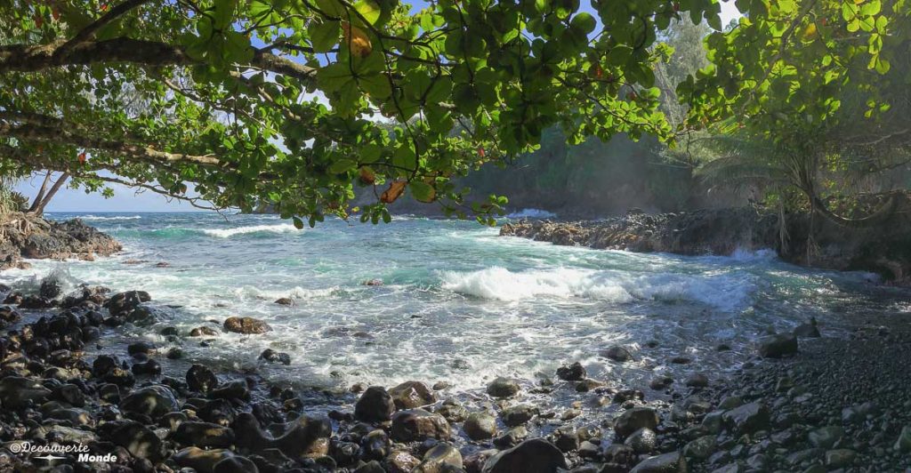 Big Island : Mon voyage de 10 jours sur la plus grande des îles d'Hawaii. Ici la baie Onomea. Retrouvez l'article ici: https://www.decouvertemonde.com/big-island-voyage-iles-hawaii