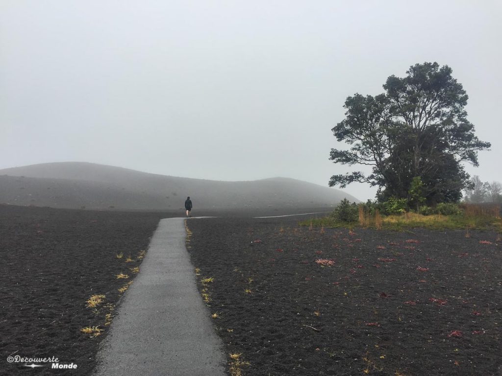 Big Island : Mon voyage de 10 jours sur la plus grande des îles d'Hawaii. Ici sur la dévastation trail dans le parc des volcans. Retrouvez l'article ici: https://www.decouvertemonde.com/big-island-voyage-iles-hawaii