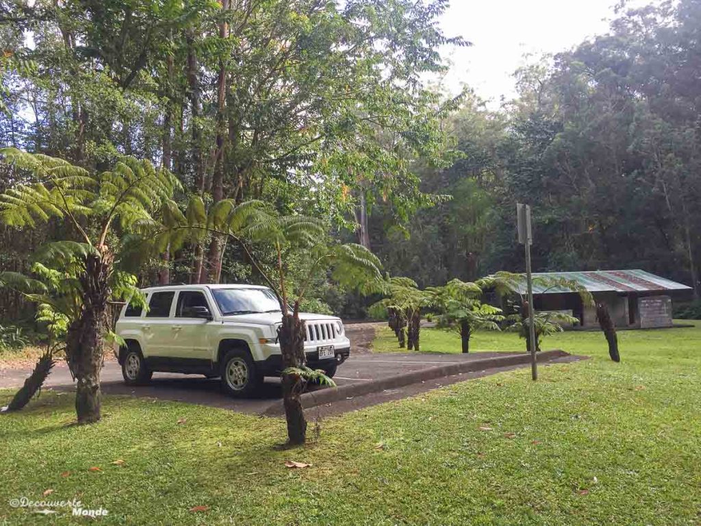 Big Island : Mon voyage de 10 jours sur la plus grande des îles d'Hawaii. Ici au camping du parc Kalopa. Retrouvez l'article ici: https://www.decouvertemonde.com/big-island-voyage-iles-hawaii