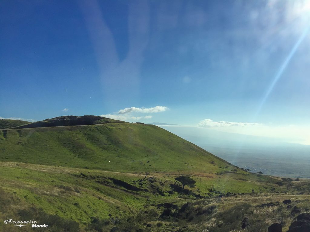 Big Island : Mon voyage de 10 jours sur la plus grande des îles d'Hawaii. Ici sur la Kohala mountain road. Retrouvez l'article ici: https://www.decouvertemonde.com/big-island-voyage-iles-hawaii