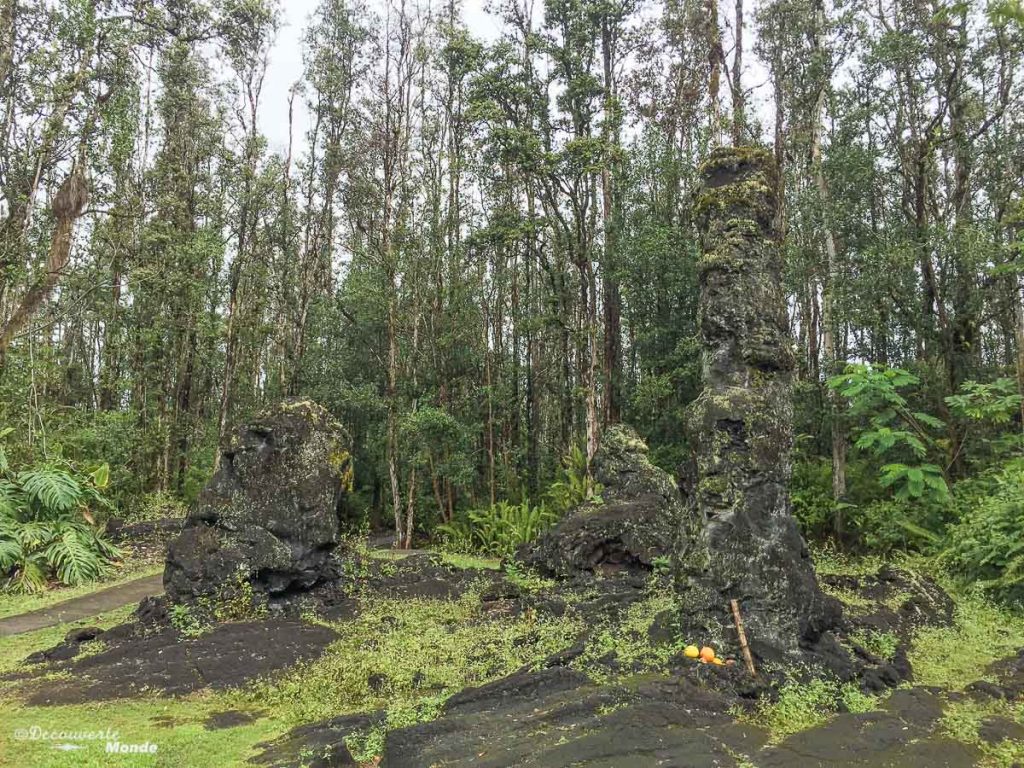 Big Island : Mon voyage de 10 jours sur la plus grande des îles d'Hawaii. Ici Lave trees state park. Retrouvez l'article ici: https://www.decouvertemonde.com/big-island-voyage-iles-hawaii