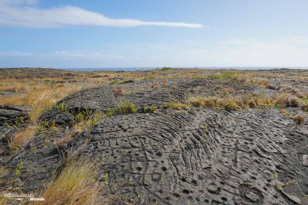 Big Island : Mon voyage de 10 jours sur la plus grande des îles d'Hawaii. Ici les pétroglyphes du parc des volcans . Retrouvez l'article ici: https://www.decouvertemonde.com/big-island-voyage-iles-hawaii