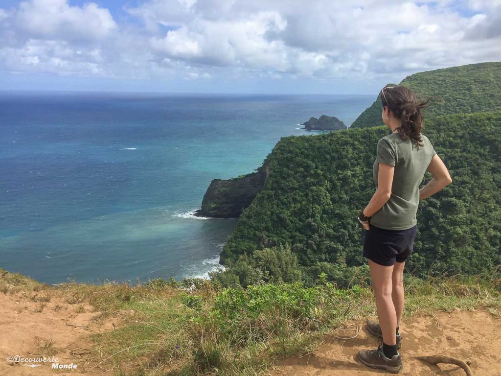 Big Island : Mon voyage de 10 jours sur la plus grande des îles d'Hawaii. Ici en randonnée à Polulu valley. Retrouvez l'article ici: https://www.decouvertemonde.com/big-island-voyage-iles-hawaii