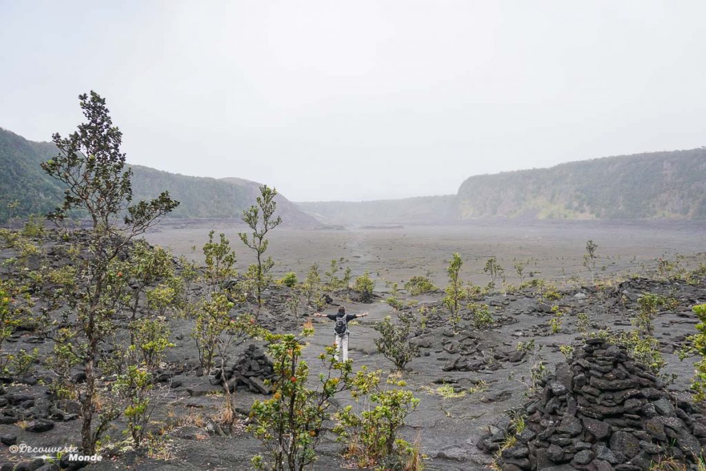 Big Island : Mon voyage de 10 jours sur la plus grande des îles d'Hawaii. Ici sur la Kilauea Iki trail dans le parc des volcans. Retrouvez l'article ici: https://www.decouvertemonde.com/big-island-voyage-iles-hawaii