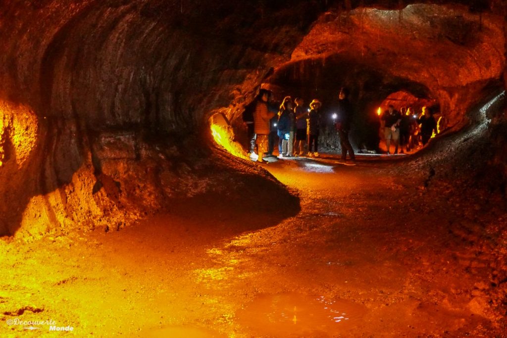 Big Island : Mon voyage de 10 jours sur la plus grande des îles d'Hawaii. Ici dans le tunnel de lave Thurston dans le parc des volcans. Retrouvez l'article ici: https://www.decouvertemonde.com/big-island-voyage-iles-hawaii