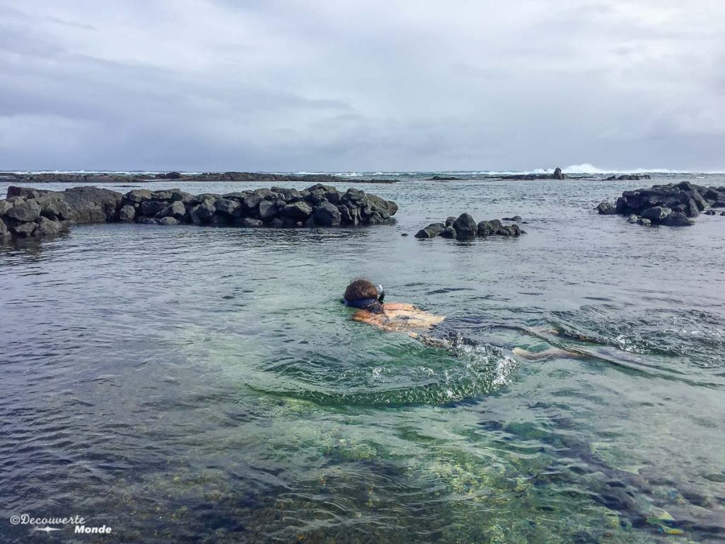 Big Island : Mon voyage de 10 jours sur la plus grande des îles d'Hawaii. Ici en plongée en apnée dans les Tides pools. Retrouvez l'article ici: https://www.decouvertemonde.com/big-island-voyage-iles-hawaii