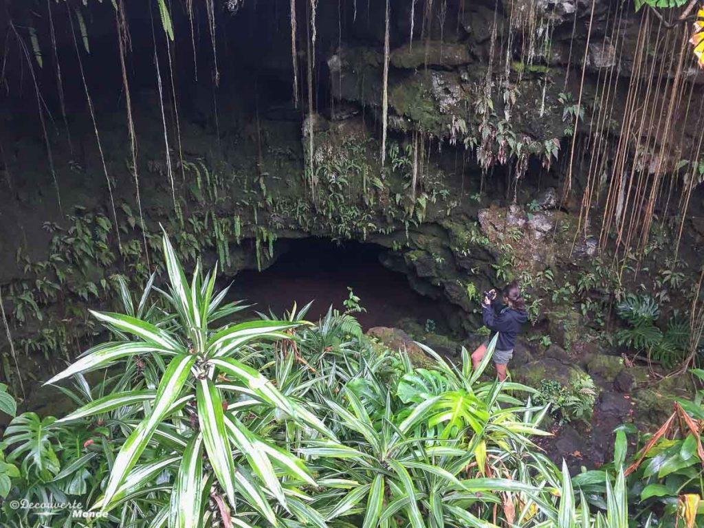 Big Island : Mon voyage de 10 jours sur la plus grande des îles d'Hawaii. Ici au tunnel de lave de Kaumana. Retrouvez l'article ici: https://www.decouvertemonde.com/big-island-voyage-iles-hawaii