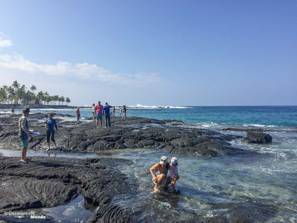 Big Island : Mon voyage de 10 jours sur la plus grande des îles d'Hawaii. Ici au spot de plongée Two Step. Retrouvez l'article ici: https://www.decouvertemonde.com/big-island-voyage-iles-hawaii