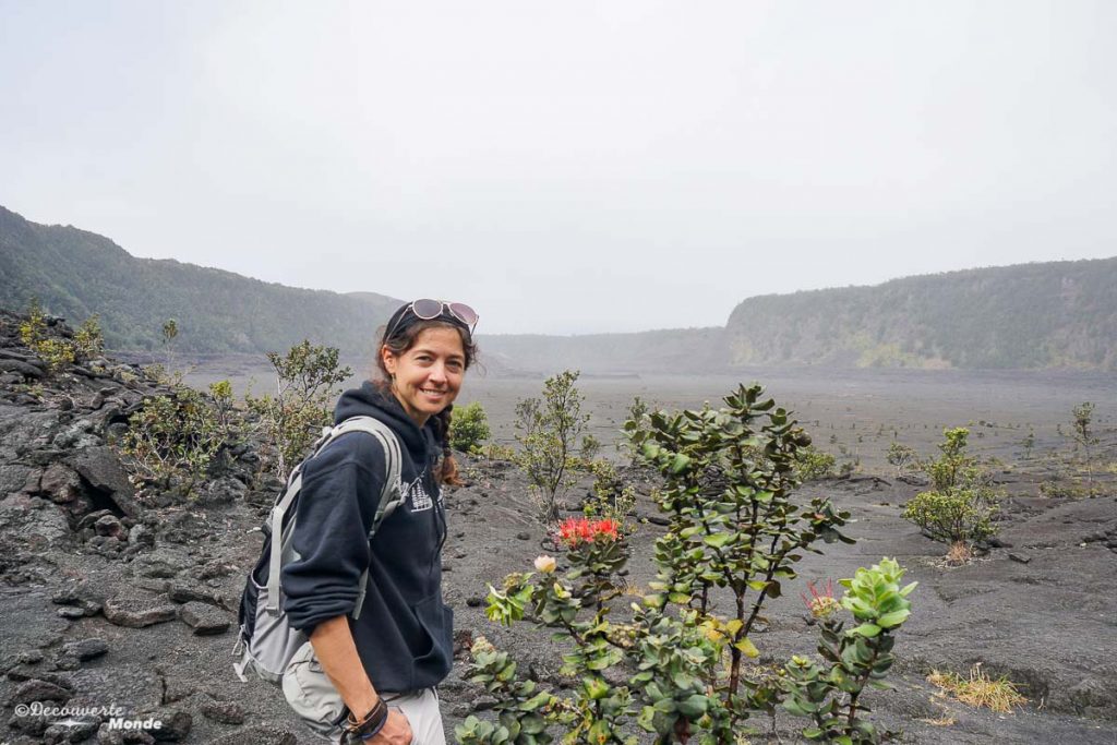 Big Island : Mon voyage de 10 jours sur la plus grande des îles d'Hawaii. Ici en randonnée sur la Kilauea Iki trail dans le parc des volcans. Retrouvez l'article ici: https://www.decouvertemonde.com/big-island-voyage-iles-hawaii