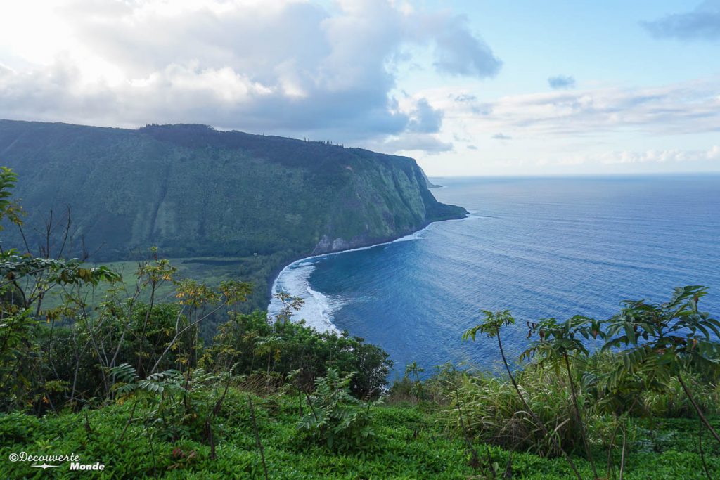 Big Island : Mon voyage de 10 jours sur la plus grande des îles d'Hawaii. Ici vue sur la vallée de Waipi'o. Retrouvez l'article ici: https://www.decouvertemonde.com/big-island-voyage-iles-hawaii