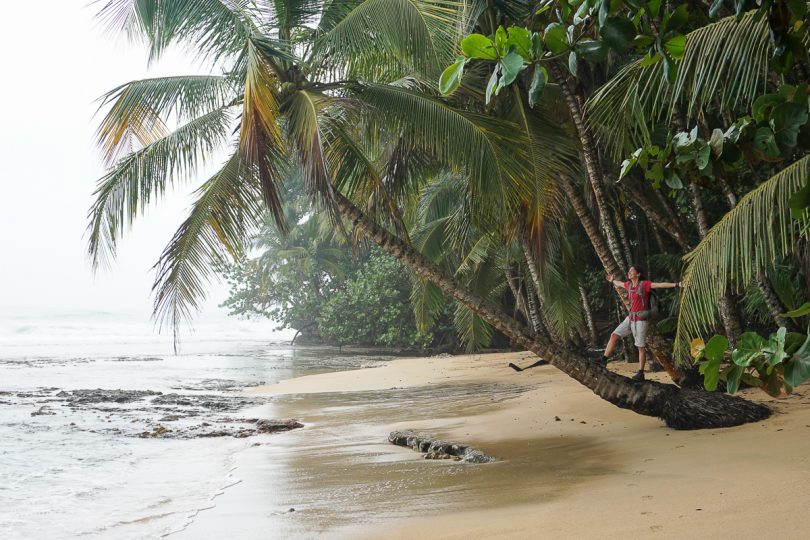 Visiter La Côte Caraïbes Du Costa Rica Que Faire Et Que